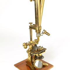 Show image 8